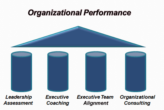 Organisational Performance